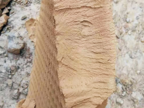 ͻ
